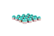 BMW Valve Stem Seal Set - Reinz 11349063193