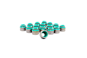BMW Valve Stem Seal Set - Reinz 11349063193