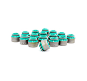 BMW Valve Stem Seal Set - Reinz 11349063193