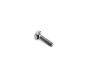 BMW Torx Bolt - Genuine BMW 24111421207