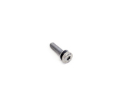 BMW Torx Bolt - Genuine BMW 24111421207