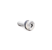 BMW Torx Bolt - Genuine BMW 24111421207