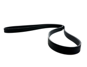 BMW Serpentine Belt - Continental 7PK1855