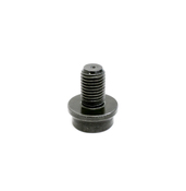 BMW Flexplate Screw  - Genuine BMW 11227522125