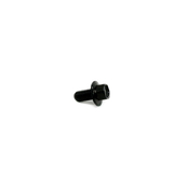 Mini Cooper Hex Bolt With Washer (M6X12) - Genuine Mini 07130782486