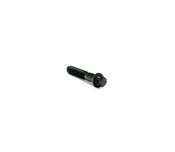 BMW Valvetronic Oil Squirter Mounting Screw - Genuine BMW 07129904573