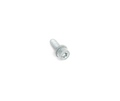 BMW Isa Screw With Washer - Genuine BMW 07129904707