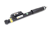 Mercedes Shock Absorber - Arnott 2113266800