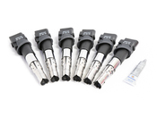 VW Ignition Service Kit - Bremi KIT-022905715BKT9