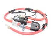 BMW Battery Cable (Plus Pole) (Sbk) - Genuine BMW 61129127780