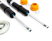 Audi VW Strut Assembly Kit - Bilstein B4 KIT-19119939KT11