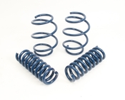 BMW Lowering Spring Kit (F30) - Dinan D100-0931