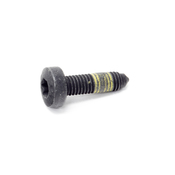 VW Torx Bolt - Genuine VW N10196303