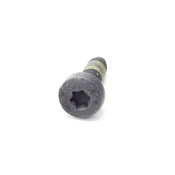 VW Torx Bolt - Genuine VW N10196303