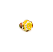 Audi VW Expansion Tank Screw - Genuine VW Audi N90310301