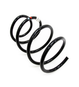 BMW Coil Spring - Genuine BMW 31336756966