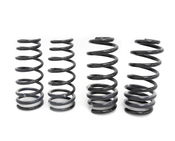 Porsche Coil Spring Lowering Kit - Eibach E10-72-012-02-22
