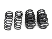 Porsche Coil Spring Lowering Kit - Eibach E10-72-012-03-22
