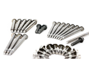BMW Engine Block Bolt Set - Genuine BMW 11110426591