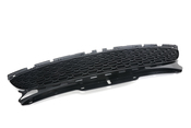 MINI Grill Front - Genuine MINI 51117255125