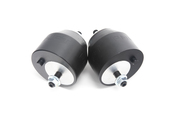 BMW Engine Mount Kit (80A Durometer) - Revshift PMMR3680A