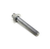 BMW Torx Bolt (M6X35-Znniv Si) - Genuine BMW 07129905572