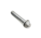 BMW Torx Bolt (M6X35-Znniv Si) - Genuine BMW 07129905572