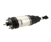 Land Rover Air Strut Assembly - Eurospare LR016419
