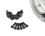 Audi VW Solid Flywheel Conversion Kit - Valeo 06A105267