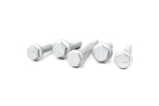 VW Engine Mount Hardware Installation Kit - Genuine VW KIT-N10209605KT1