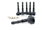 Porsche Ignition Coil Kit - Bremi 996IGNCLKT1