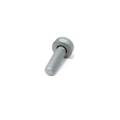 VW Torx Head Bolt - Genuine VW N10124408