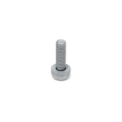 VW Torx Head Bolt - Genuine VW N10124408