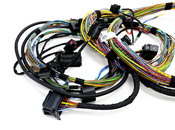BMW Front Right Repair Wiring Set - Genuine BMW 61119353020