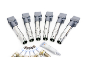 VW Ignition Coil & Spark Plug Service Kit - Eldor KIT-022905715BKT4
