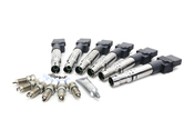 VW Ignition Coil & Spark Plug Service Kit - Eldor KIT-022905715BKT4