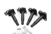 VW Ignition Coil Kit - Beru KIT-06B905115E4