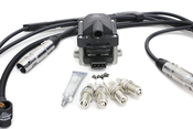 VW Ignition Service Kit - Beru KIT-6N0905104KT3