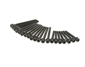 VW Head Bolt Set - Reinz 021198384G