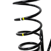 Porsche Coil Spring Set - Genuine Porsche 98733353197504