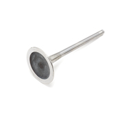 Audi VW Intake Valve - TRW 06D109601M