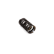 Audi VW Engine Valve Spring - Genuine VW Audi 06E109623AB