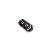 Audi VW Engine Exhaust Valve Spring - Genuine VW Audi 06E109623H