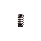 BMW Engine Valve Spring - Genuine BMW 11347533061