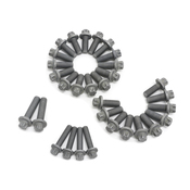 BMW Engine Bedplate Bolt Set - Genuine BMW 11110392552