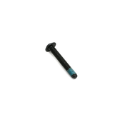 BMW Vacuum Pump Screw - Genuine BMW 11667564953
