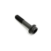 VW Camshaft Adjuster Bolt - Genuine VW 06E109281A