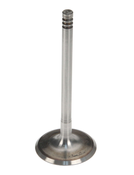 BMW Intake Valve - Corteco 11341739658