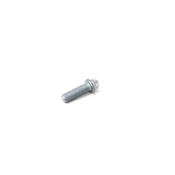 BMW Torx Bolt (M8X25) - Genuine BMW 07129903925