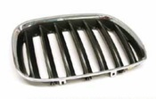 BMW Kidney Grille - Genuine BMW 51137113734